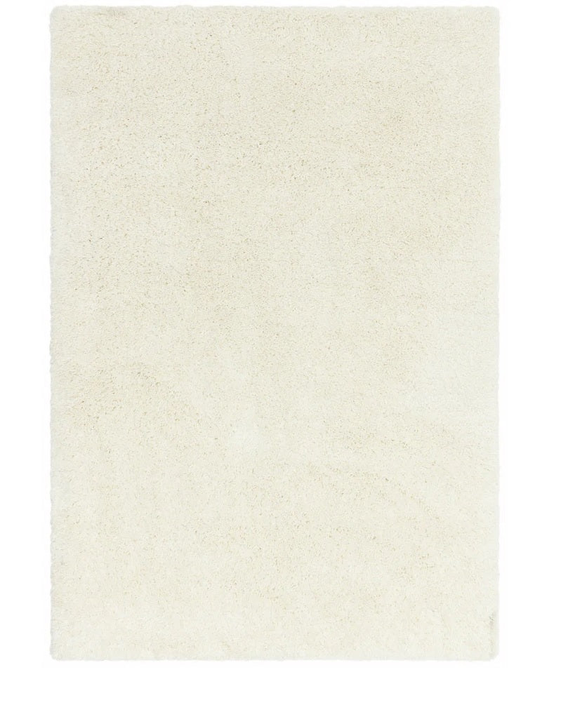 Tapis de salon design et shaggy richy