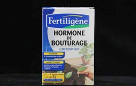 Hormone de bouturage