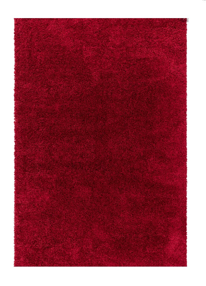 Tapis de salon design et shaggy richy