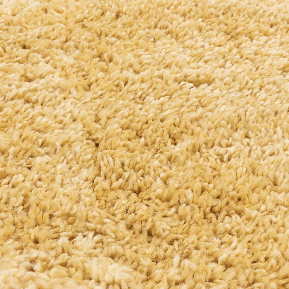 Tapis de salon design et shaggy richy