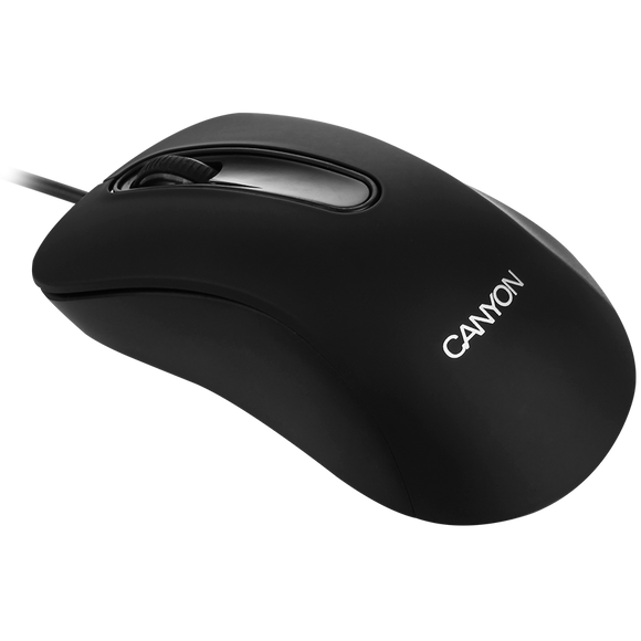 Souris canyon cm-2 filaire noire