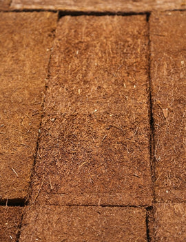 Plaque xaxim 50 x 20 cm - Dimensions 50 x 20 x 15 cm