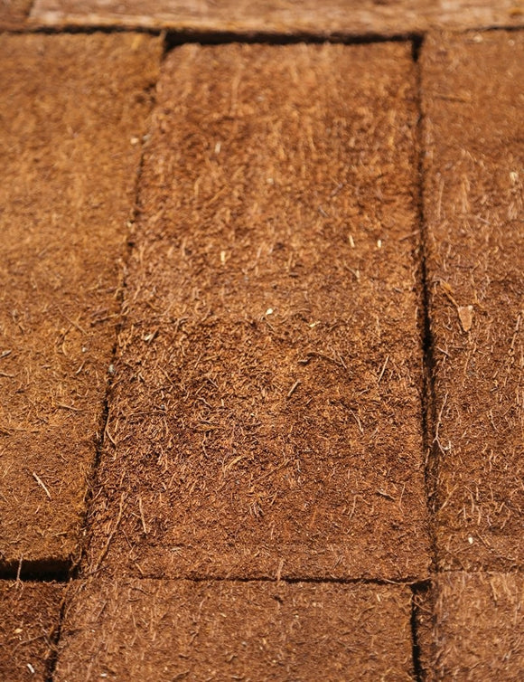 Plaque xaxim 50 x 20 cm - Dimensions 50 x 20 x 15 cm