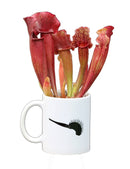 Mug Karnivores