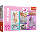 Puzzle trefl chatons 60 pièces