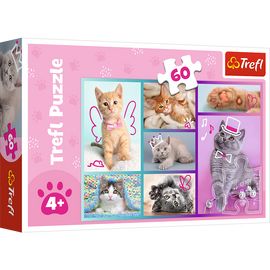 Puzzle trefl chatons 60 pièces