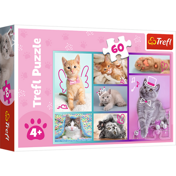 Puzzle trefl chatons 60 pièces
