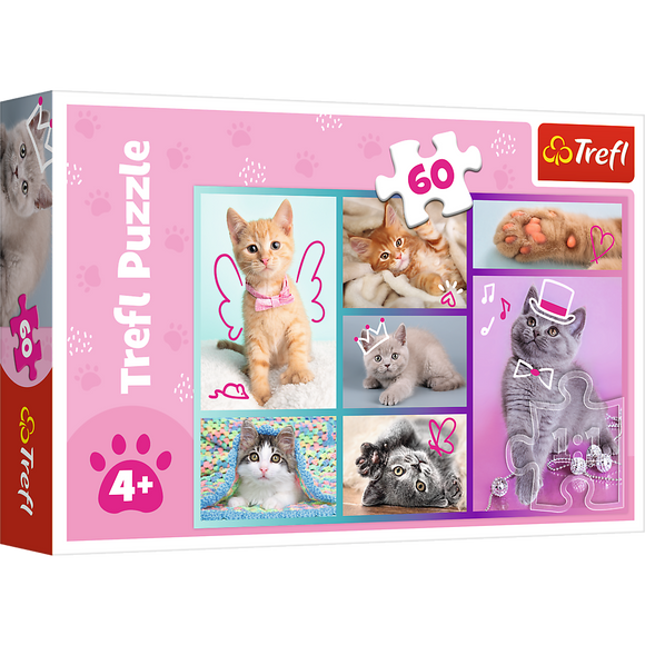 Puzzle trefl chatons 60 pièces