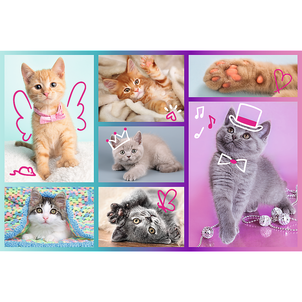 Puzzle TREFL Chatons 60 pièces