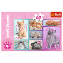 Puzzle trefl chatons 60 pièces