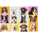 Puzzle trefl chiots 60 pièces