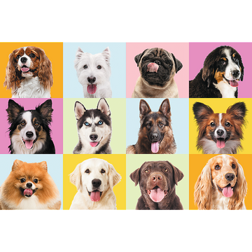 Puzzle trefl chiots 60 pièces