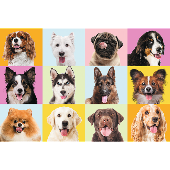 Puzzle trefl chiots 60 pièces