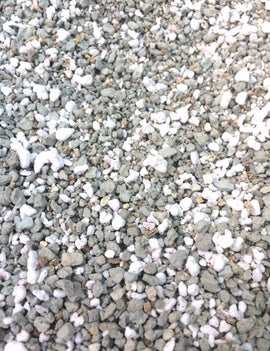 Substrat pinguicula 1l pour une croissance optimale