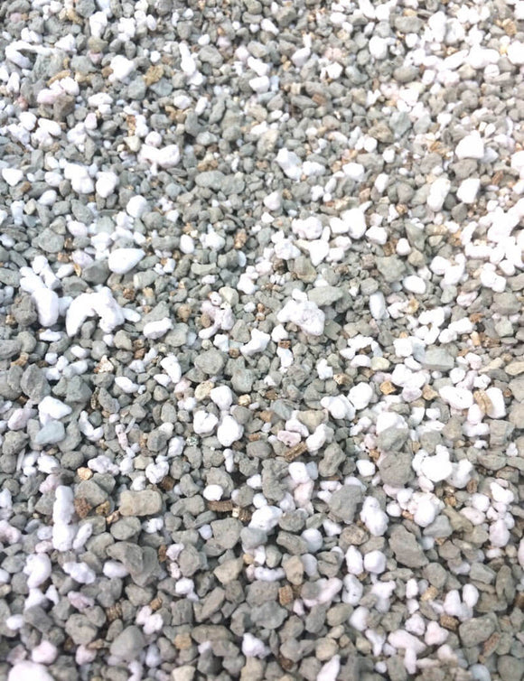 Substrat pinguicula 1l pour une croissance optimale