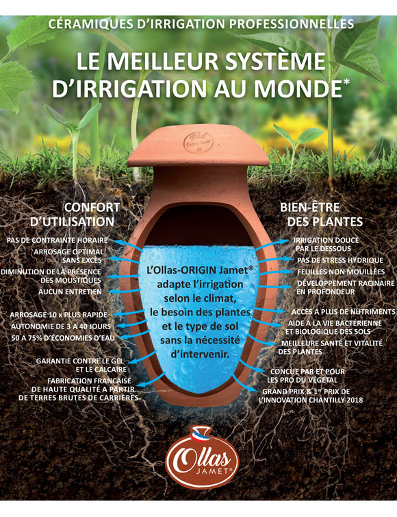 Ollas d'irrigation - Révolutionnez votre jardinage avec nos solutions d'arrosage efficaces