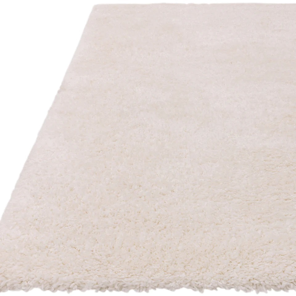 Tapis de salon design et shaggy richy