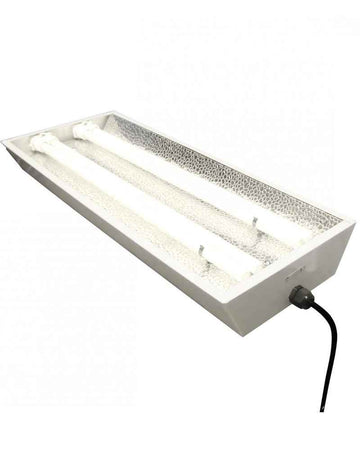 Rampe néon - STARLITE 2X55w