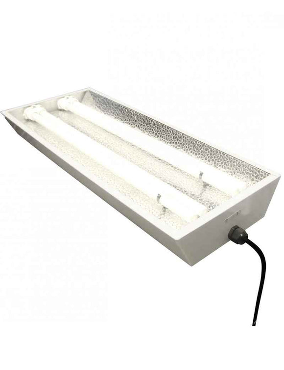 Rampe néon - STARLITE 2X55w