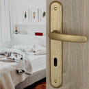 2 poignées de porte sur plaque VINTAGE, Entrée de clé pour chambre, Finition laiton brut laqué mat, Entraxe stand 195 mm