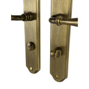 2 poignées de porte sur plaque CARINA, Verrou de condamnation pour salle de bain/WC, Finition laiton patiné, Entraxe standard 195 mm