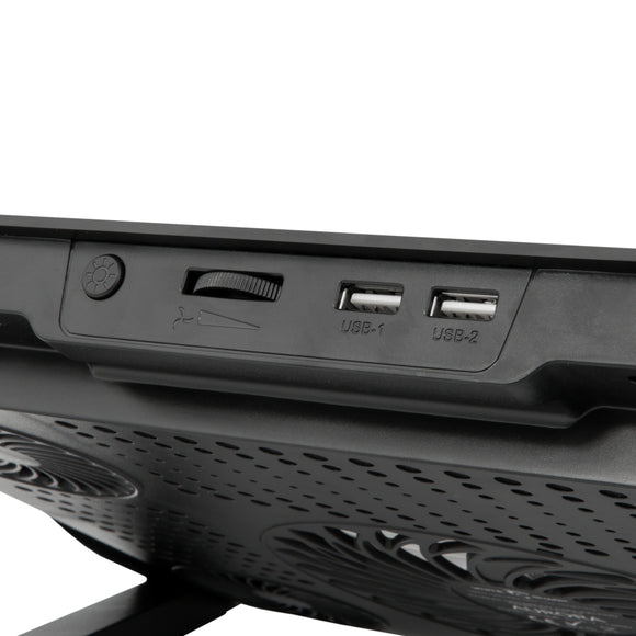 Requin blanc gcp-13 aurora