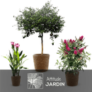 Cache pots ronds en jonc naturel (Lot de 4) - clicktofournisseur.com