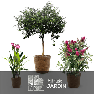 Cache pots ronds en jonc naturel (Lot de 4) - clicktofournisseur.com