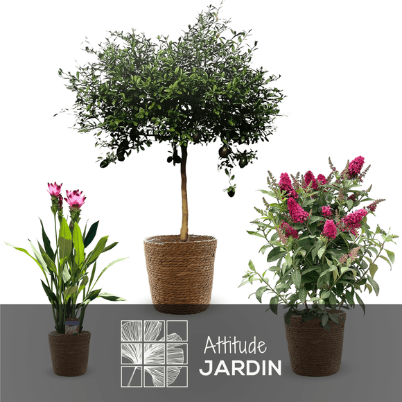 Cache pots ronds en jonc naturel (Lot de 4) - clicktofournisseur.com