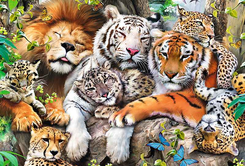 Puzzle en bois TREFL Chats sauvages dans la jungle 500+1 pièces