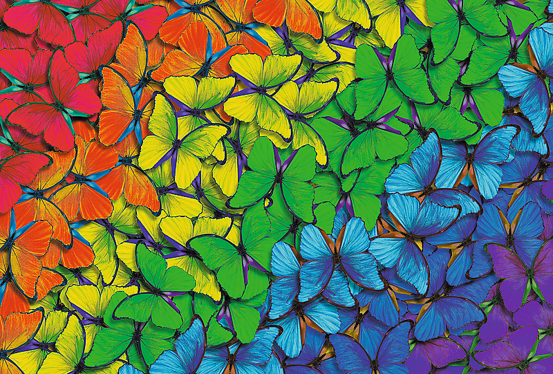 TREFL wooden puzzle Rainbow butterflies 500+1 pcs