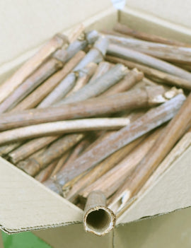 Tubes pour abeilles sauvages - refuge pour abeilles sauvages