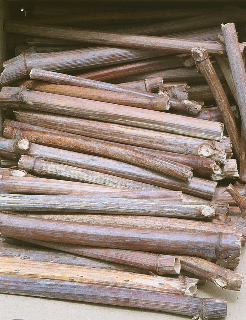 Tubes pour abeilles sauvages - refuge pour abeilles sauvages