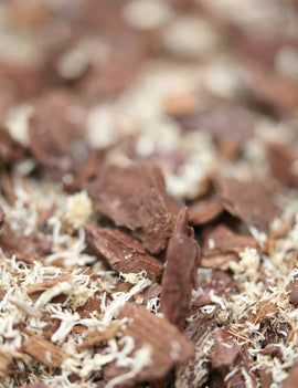 Terreau pour orchidées et broméliacées - Spécial Nepenthes et Neoregelia