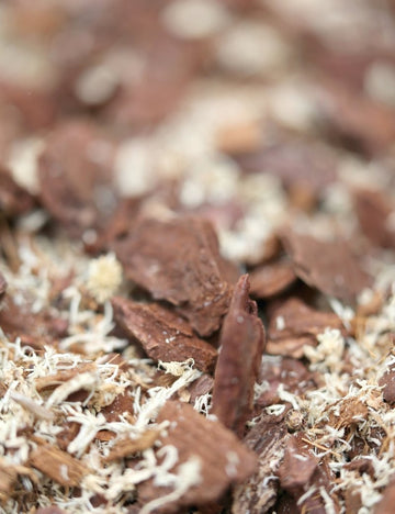 Terreau pour orchidées et broméliacées - Spécial Nepenthes et Neoregelia