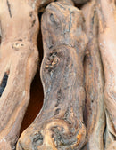 Cep de vigne 40/50 cm - Plantez votre vignoble avec qualité