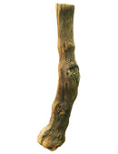 Cep de vigne 40/50 cm - Plantez votre vignoble avec qualité