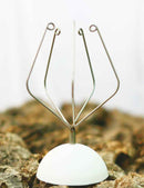 Support adhésif pour Tillandsia