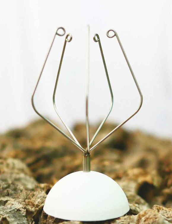 Support adhésif pour Tillandsia