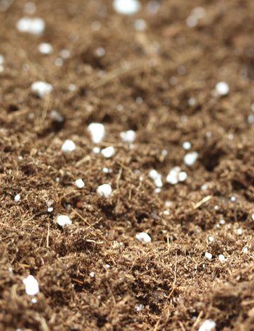 Terreau plantes carnivores optimisé pour un développement sain