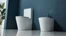 Ensemble Cuvette WC sans bride Rimless à poser ZINA - avec abattant et réservoir