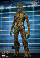 Product Image-2