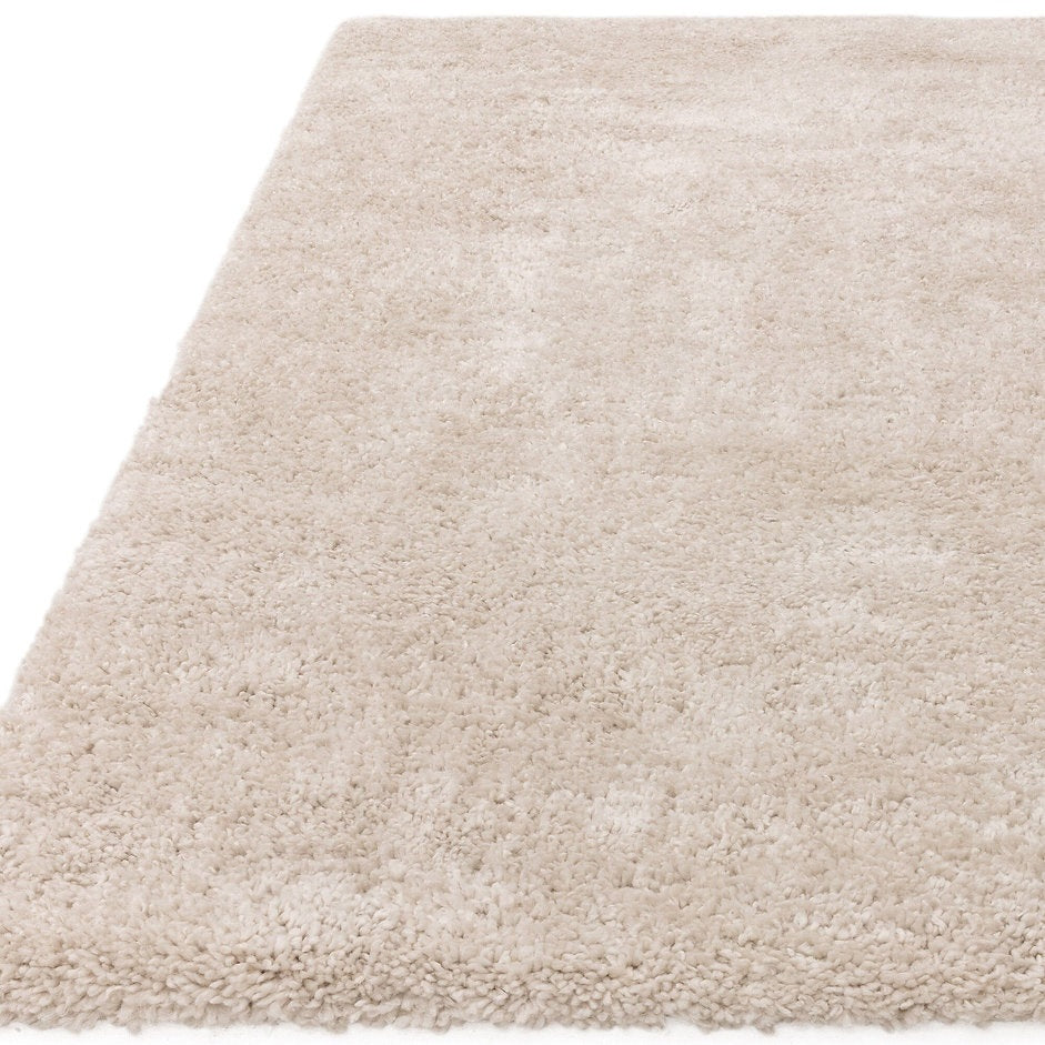 Tapis de salon design et shaggy richy
