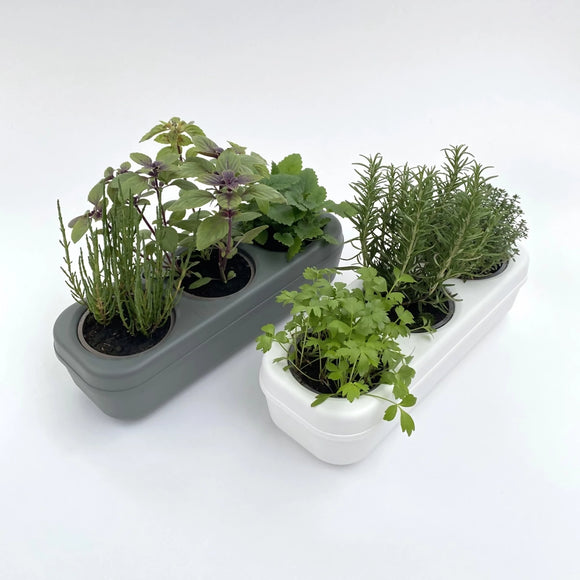 Kit potager urbain semi-hydroponique triple - gris