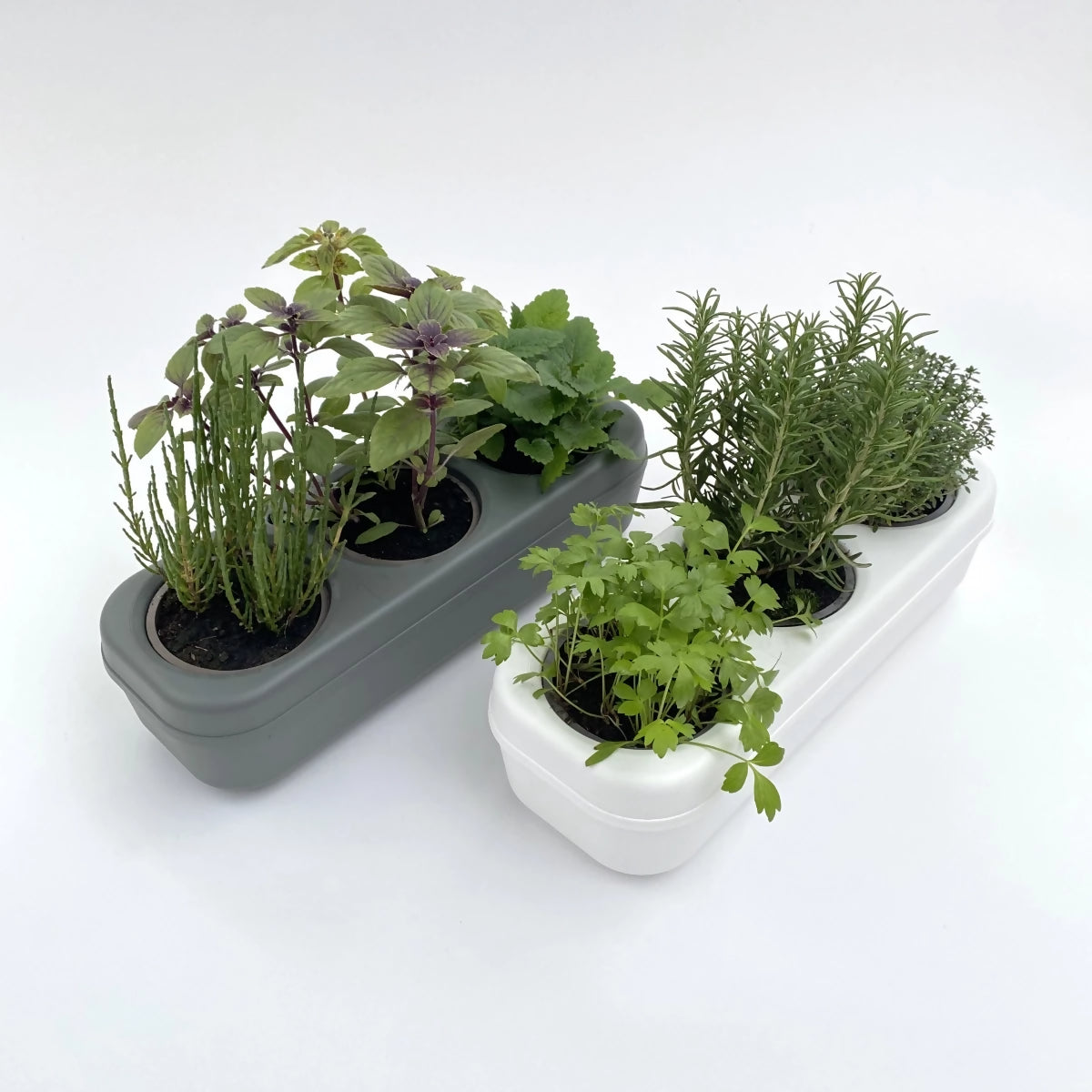 Dreifaches semi-hydroponisches städtisches Gemüsegarten-Set – Weiß 