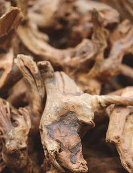 Racine de rivière 20/25cm - Idéale pour aquariums et décorations naturelles