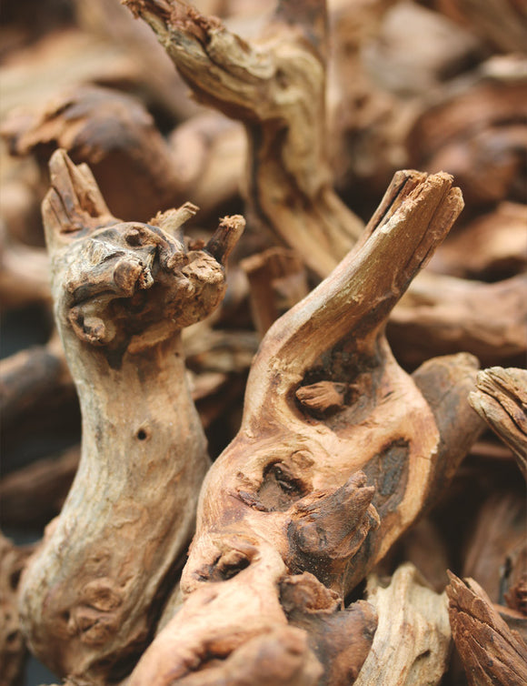 Racine de rivière 20/25cm - Idéale pour aquariums et décorations naturelles