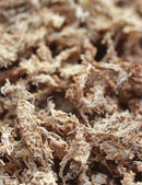 Sphaigne du Chili haute qualité - 1 kg - Idéale pour jardinage