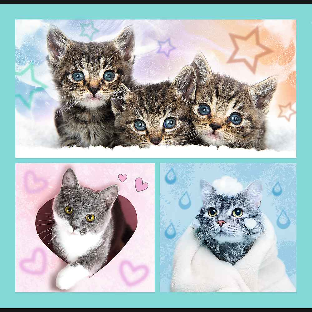 Puzzle TREFL 3 en 1 Chatons