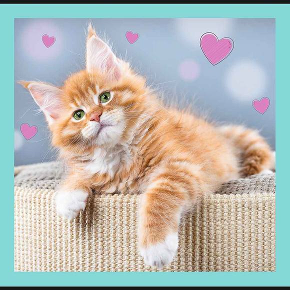 Puzzle TREFL 3 en 1 Chatons